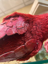 Load image into Gallery viewer, Cardinal Sistal Tree Topper
