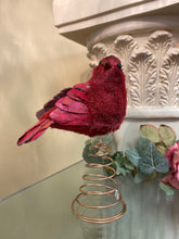 Load image into Gallery viewer, Cardinal Sistal Tree Topper
