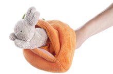 Load image into Gallery viewer, Carrot and three bunnies