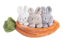 Load image into Gallery viewer, Carrot and three bunnies
